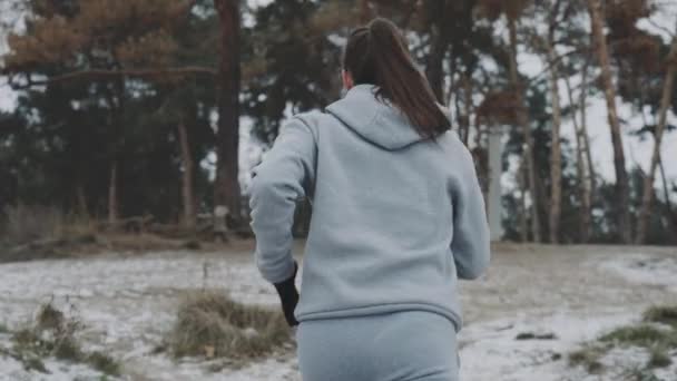 Fit mulher correndo para a floresta no inverno — Vídeo de Stock