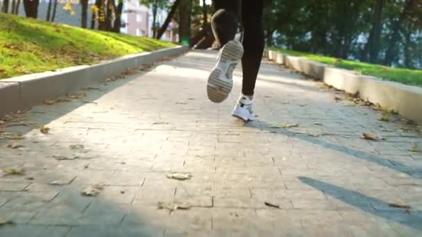 Ноги женщины бегают в осеннем парке — стоковое видео
