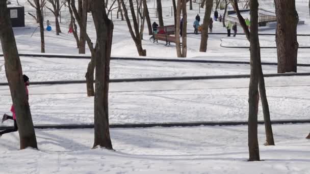 Pareja de jogger en cámara lenta en el parque de invierno — Vídeos de Stock