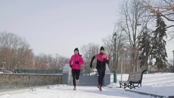 Paire de joggeurs faisant de l'exercice dans le parc d'hiver — Video