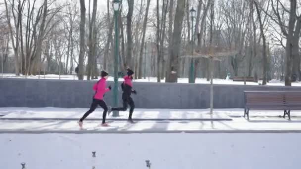 Pasująca para biegaczy ćwiczących w parku zimowym — Wideo stockowe