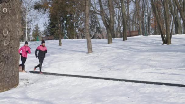 Casal de joggers em câmera lenta no parque de inverno — Vídeo de Stock