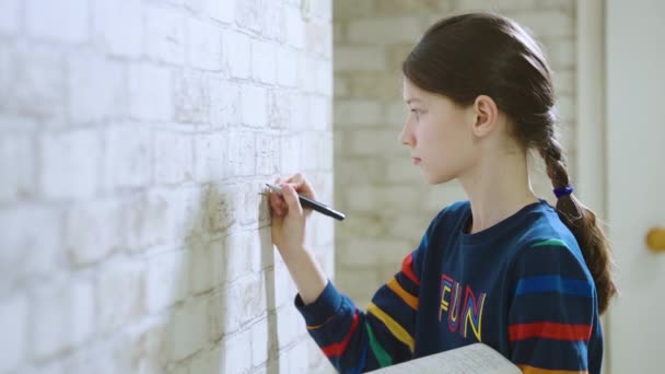 Girl doing math on wallpaper at home — стоковое видео