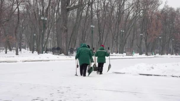 Street cleaners walking with shovels in snow — Stockvideo