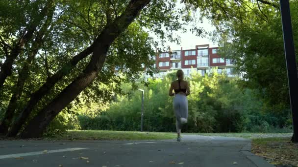 Corredor feminino exercitando no parque no início do outono — Vídeo de Stock