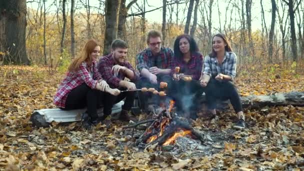 Amigos multiétnicos asando salchichas en el camping — Vídeos de Stock