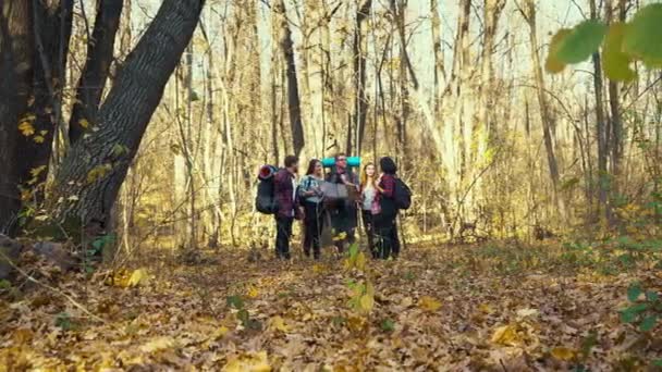 Backpackers berdiri di hutan dengan peta dan memutuskan ke arah mana harus pergi — Stok Video