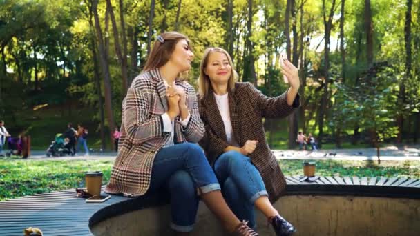 Kvinnliga bloggare spela in video i parken — Stockvideo