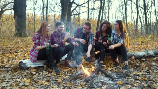 Amigos de picnic con cerveza y salchichas por hoguera — Vídeo de stock