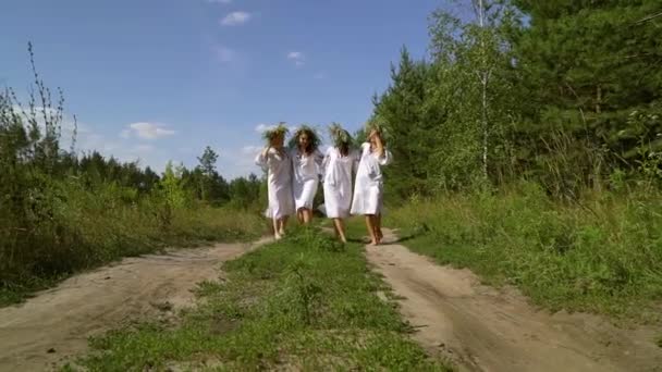 Kırsal kesimde etnik kıyafetli kadınlar yürüyor — Stok video