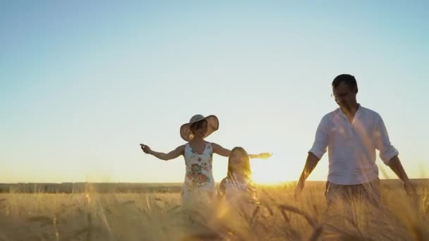 Familie mit Kind spaziert im Sommer auf Feld — Stockvideo