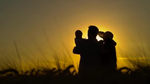 Sylwetka rodziny stojąca na polu o zachodzie słońca — Wideo stockowe