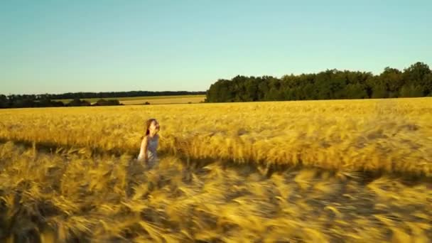 Menina correndo feliz para o pai no campo — Vídeo de Stock