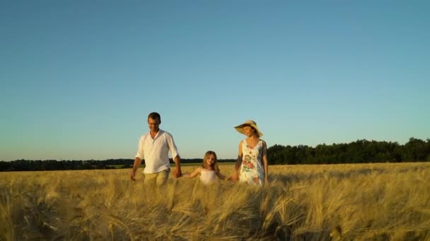 Szülők és lányok fogják egymás kezét és sétálnak a mezőn — Stock videók