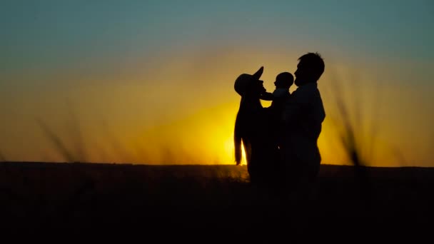Sylwetki rodziny z dzieckiem stojące na polu o zachodzie słońca — Wideo stockowe