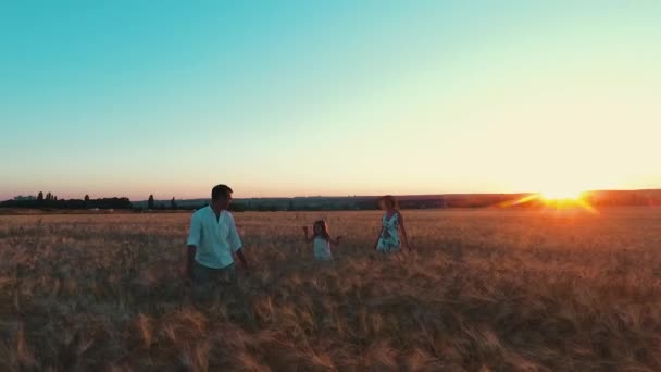 Familie wandelen bij zonsondergang in tarweveld — Stockvideo