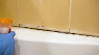 Eldivenli kadın eller banyoda deterjan sıkar ve mantarları temizler.