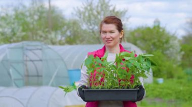 Elinde fidelerle konteyner tutan kadın çiftçi.