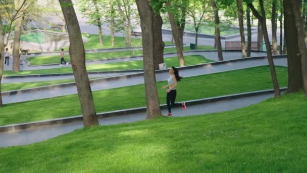 朝の公園のジョギングやペットの所有者 — ストック動画