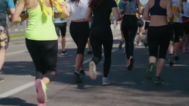 Crowd kör maraton i staden — Stockvideo