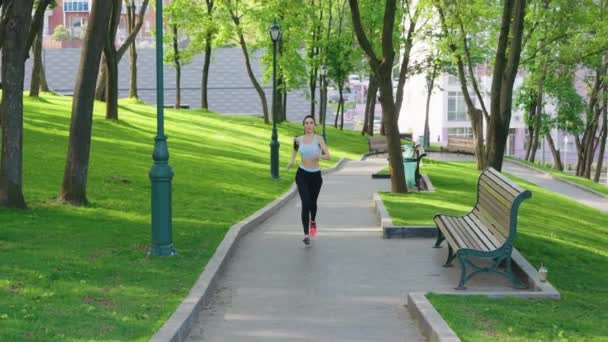 Allenamento femminile di jogger nel parco verde — Video Stock