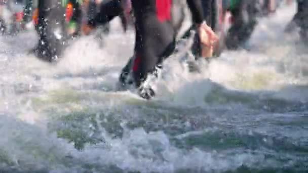 Люди в гідрокостюмах входять у воду — стокове відео
