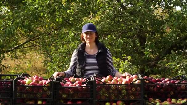 Kadın çiftçi elmalı konteynırların yanında duruyor ve baş parmağını gösteriyor. — Stok video