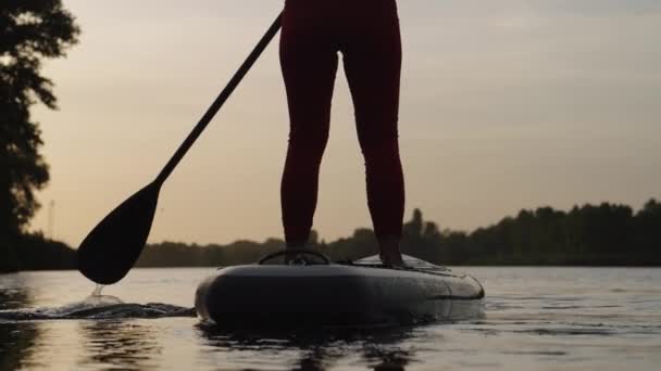 Žena pádlování na SUP palubě při západu slunce — Stock video