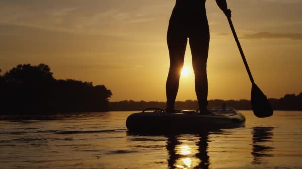 Zpomalená žena pádlování na SUP palubě při západu slunce — Stock video