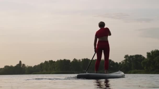 Frau auf SUP-Board auf Fluss — Stockvideo