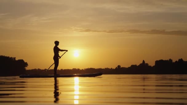 Silhouette of woman paddling on SUP board — Stock Video