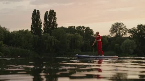 Fitte Frau paddelt auf SUP-Board am Flussufer entlang — Stockvideo