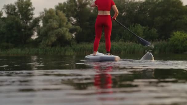 Kobieta wiosłująca do brzegu rzeki na pokładzie SUP — Wideo stockowe