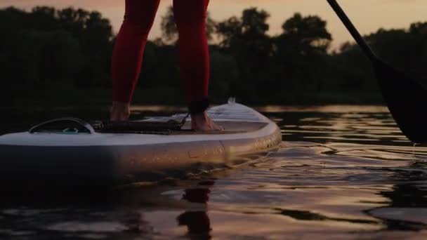Gün batımında sörf tahtasında kadın bacakları — Stok video