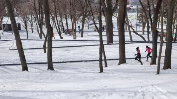 Slow motion joggers in snow covered park — Stock Video