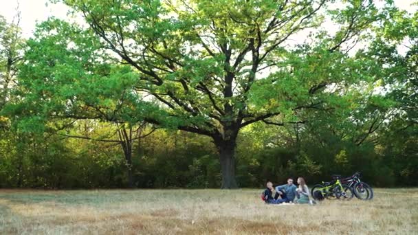 Familia pasar tiempo juntos en el picnic — Vídeo de stock