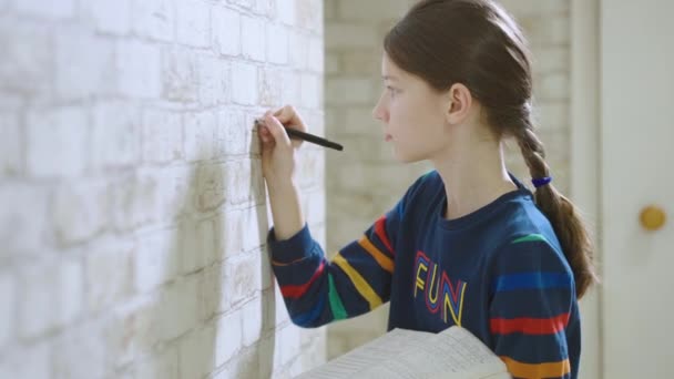 Dziewczyna pisze równania matematyki na ścianie — Wideo stockowe