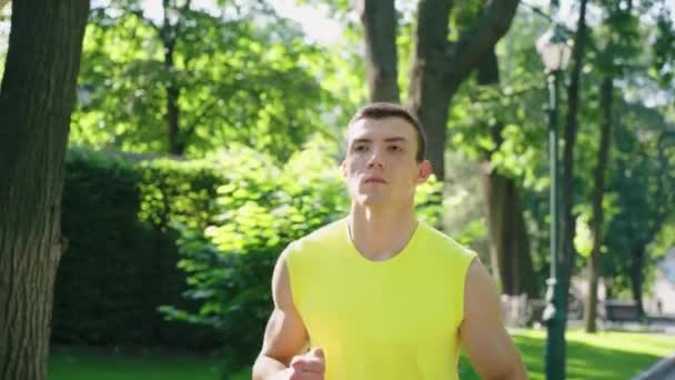 Câmara lenta ajuste homem jogging no ensolarado parque — Vídeo de Stock