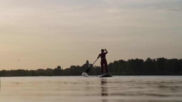 Slow motion kvinna paddling på SUP styrelse vid solnedgången — Stockvideo