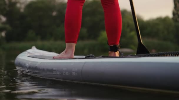Legs of female SUP boarder — Stock Video