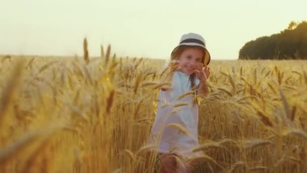 Happy little girl running in wheat field — Stock Video