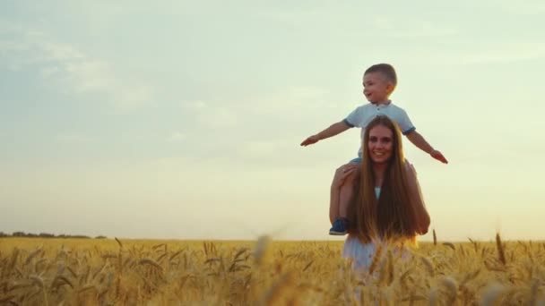 Petit garçon sur les épaules de maman marchant dans le champ — Video