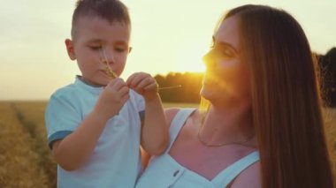 Anne ve oğlu gün batımında buğday tarlasında