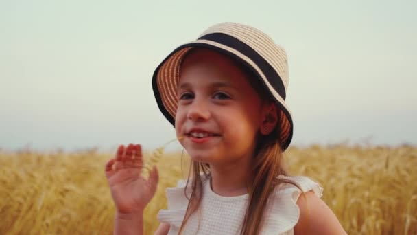 Menina brincando com spikelet no campo — Vídeo de Stock