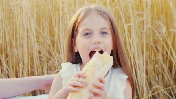 Dziewczyna jedząca chleb na pikniku na polu — Wideo stockowe