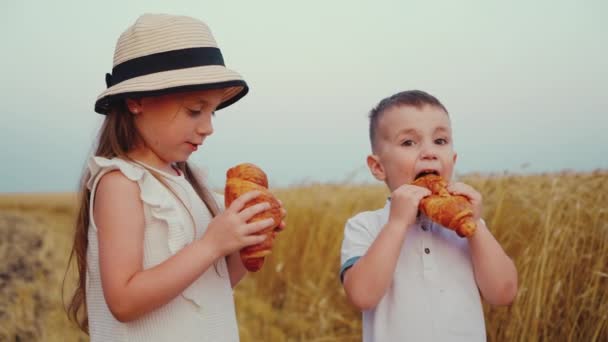 Crianças de câmera lenta comendo croissants perto do campo — Vídeo de Stock