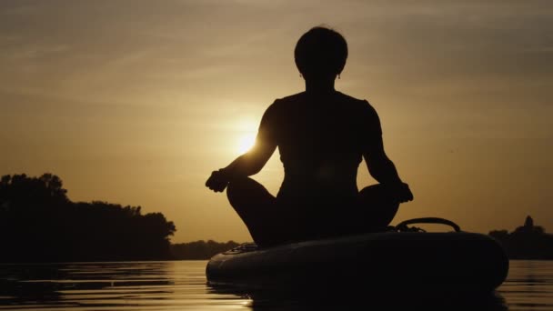 Silueta femenina meditando sobre tabla SUP — Vídeo de stock