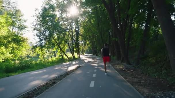 Yavaş çekim adamı güneşli bir sabahta parkta koşuyor. — Stok video