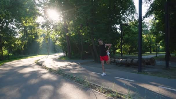 Hombre calentando antes de correr en el parque — Vídeos de Stock