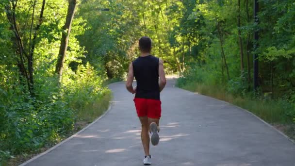 Mann joggt in Zeitlupe allein im Park — Stockvideo